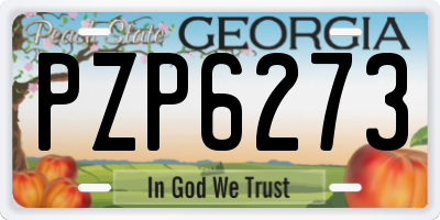 GA license plate PZP6273