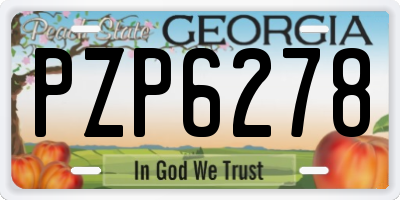 GA license plate PZP6278