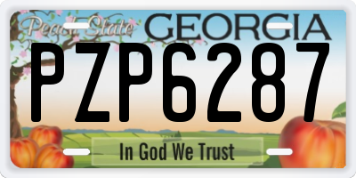GA license plate PZP6287