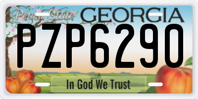 GA license plate PZP6290