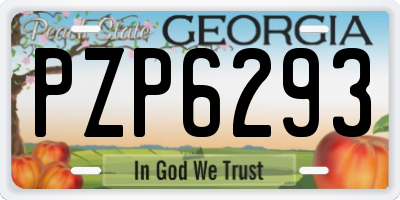 GA license plate PZP6293