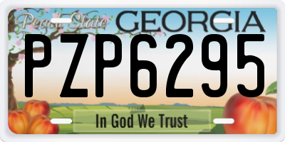 GA license plate PZP6295