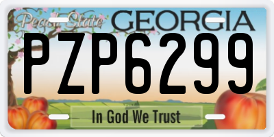 GA license plate PZP6299