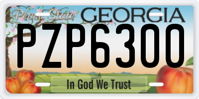 GA license plate PZP6300