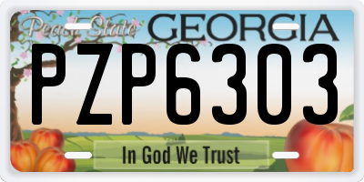 GA license plate PZP6303