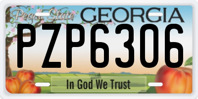 GA license plate PZP6306
