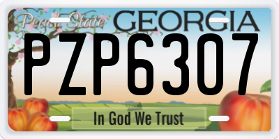 GA license plate PZP6307