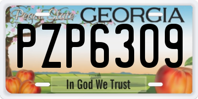 GA license plate PZP6309