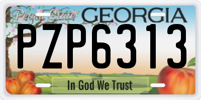 GA license plate PZP6313