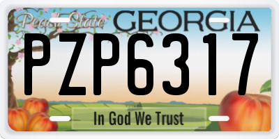GA license plate PZP6317