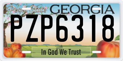 GA license plate PZP6318