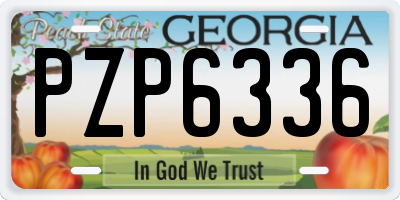 GA license plate PZP6336