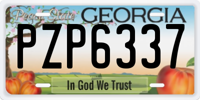 GA license plate PZP6337