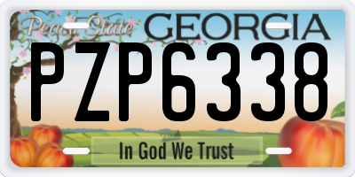 GA license plate PZP6338