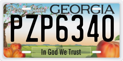 GA license plate PZP6340