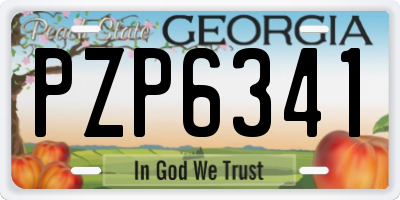 GA license plate PZP6341