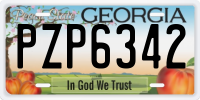 GA license plate PZP6342