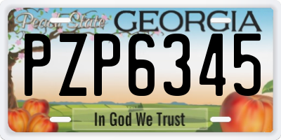 GA license plate PZP6345