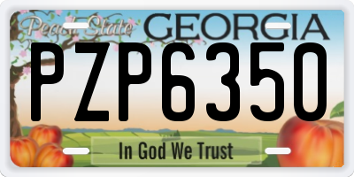 GA license plate PZP6350