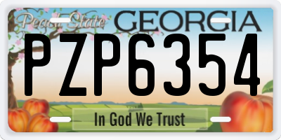 GA license plate PZP6354