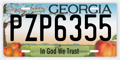 GA license plate PZP6355
