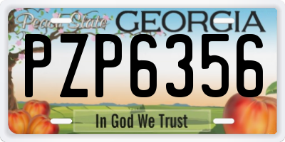 GA license plate PZP6356