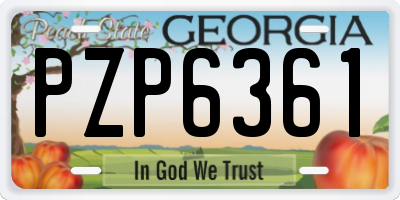 GA license plate PZP6361