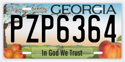 GA license plate PZP6364