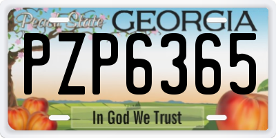 GA license plate PZP6365