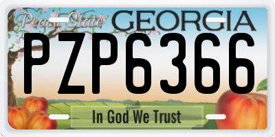 GA license plate PZP6366