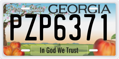 GA license plate PZP6371