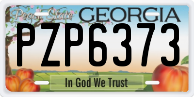GA license plate PZP6373