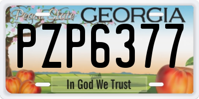 GA license plate PZP6377