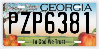 GA license plate PZP6381