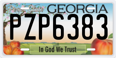 GA license plate PZP6383