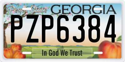 GA license plate PZP6384