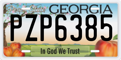 GA license plate PZP6385