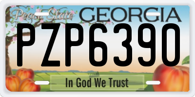 GA license plate PZP6390
