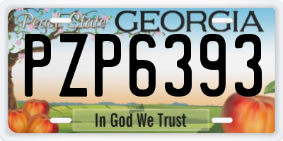 GA license plate PZP6393
