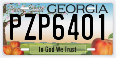 GA license plate PZP6401