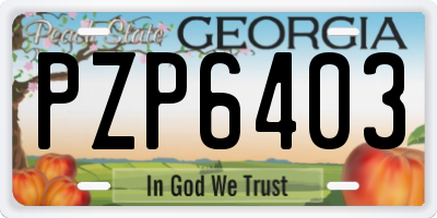 GA license plate PZP6403