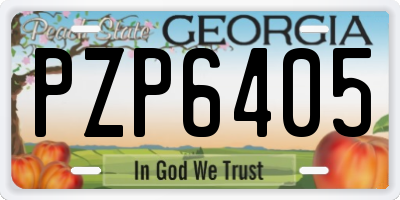 GA license plate PZP6405