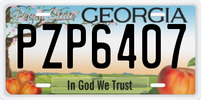 GA license plate PZP6407