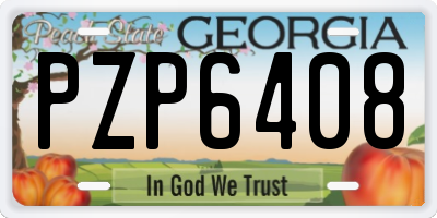 GA license plate PZP6408