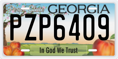 GA license plate PZP6409