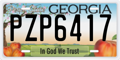 GA license plate PZP6417