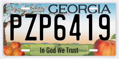 GA license plate PZP6419