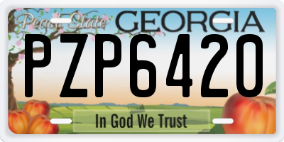 GA license plate PZP6420