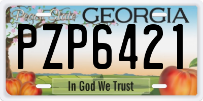 GA license plate PZP6421