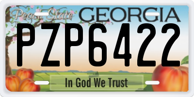 GA license plate PZP6422